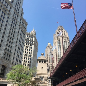 The Amateur Librarian // Chicago City Sights: Architecture Boat Tour